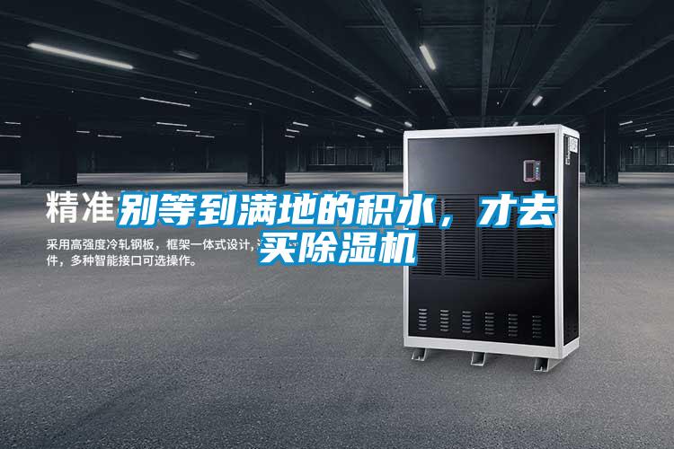别等到满地的积水，才去买除湿机