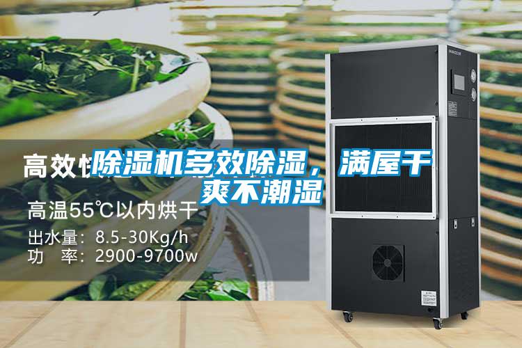 除湿机多效除湿，满屋干爽不潮湿