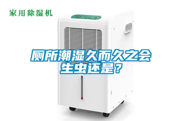 厕所潮湿久而久之会生虫还是？