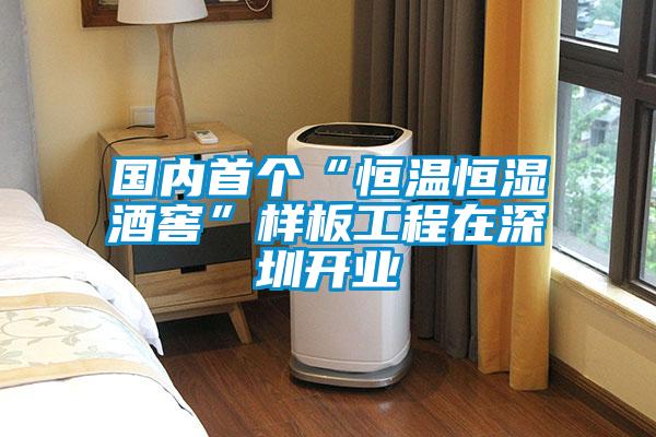 国内首个“恒温恒湿酒窖”样板工程在深圳开业