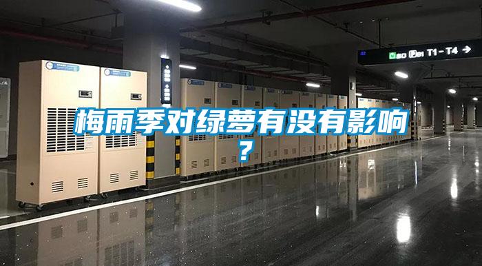 梅雨季对绿萝有没有影响？