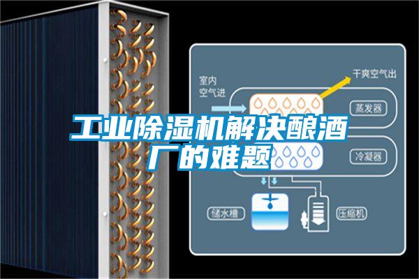 工业除湿机解决酿酒厂的难题