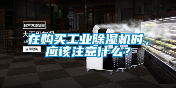 在购买工业除湿机时，应该注意什么？