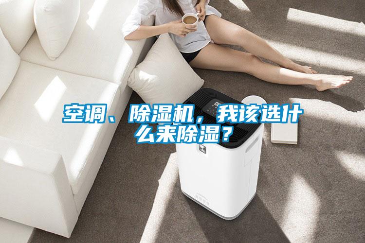 空调、除湿机，我该选什么来除湿？