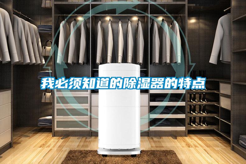 我必须知道的除湿器的特点