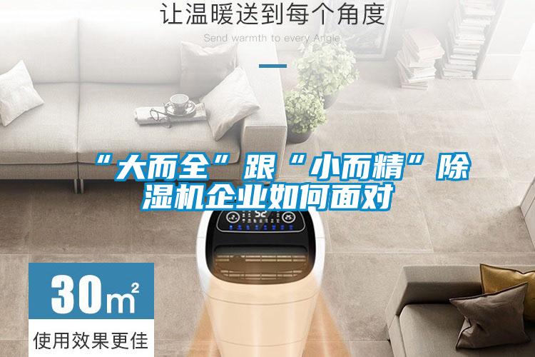 “大而全”跟“小而精”除湿机企业如何面对