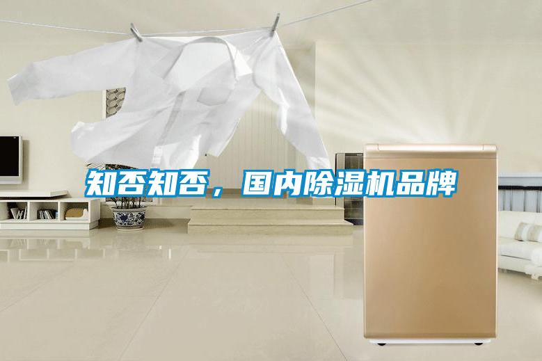 知否知否，国内除湿机品牌
