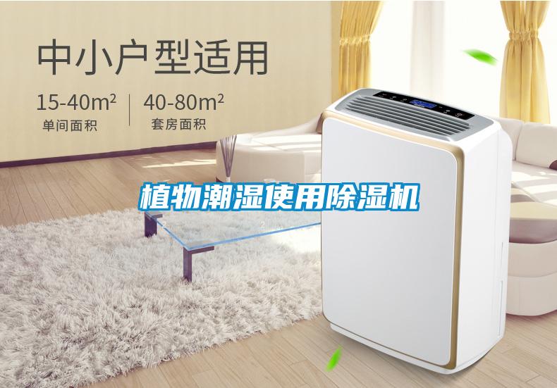 植物潮湿使用除湿机