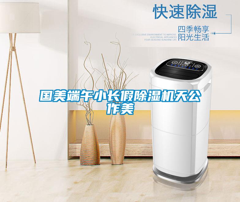 国美端午小长假除湿机天公作美