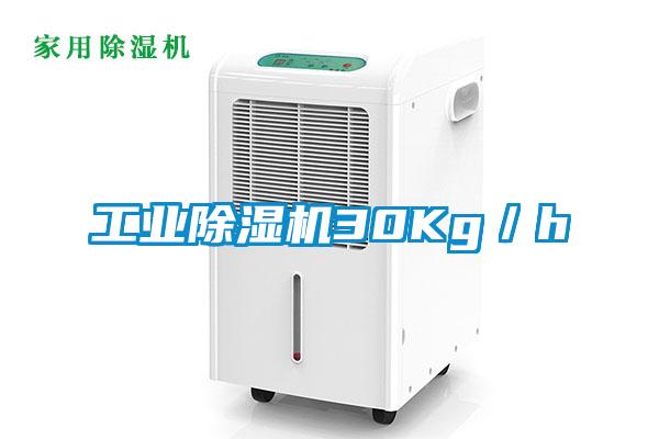 工业除湿机30Kg／h
