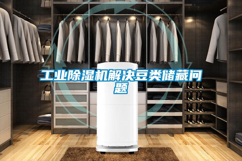 工业除湿机解决豆类储藏问题
