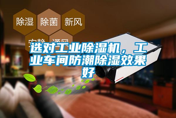 选对工业除湿机，工业车间防潮除湿效果好