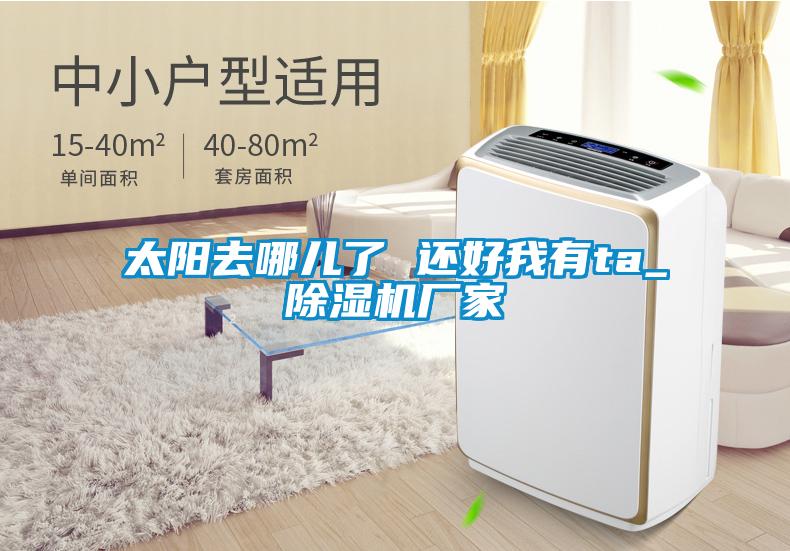 太阳去哪儿了 还好我有ta_除湿机厂家
