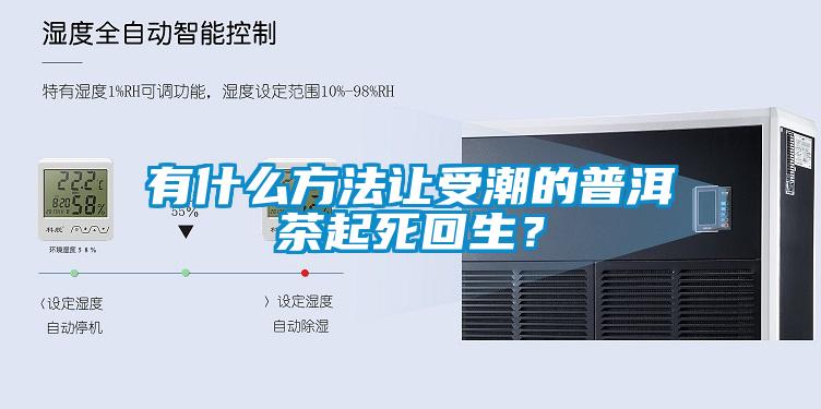 有什么方法让受潮的普洱茶起死回生？