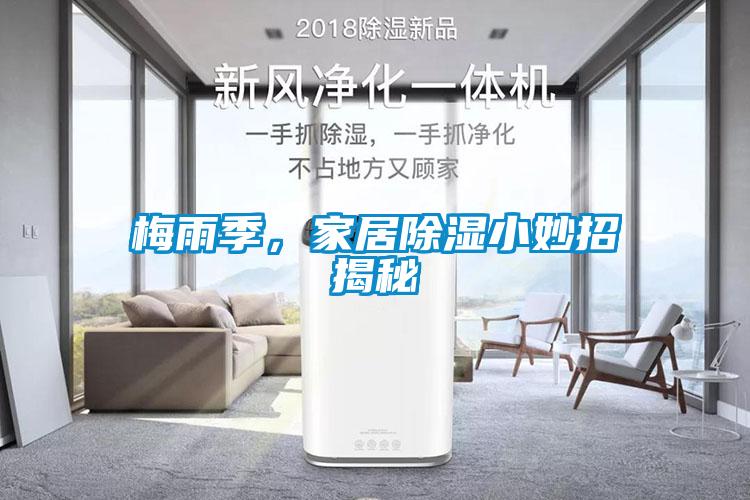 梅雨季，家居除湿小妙招揭秘