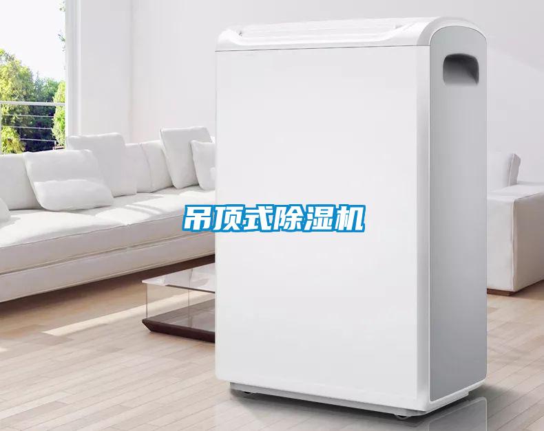 吊顶式除湿机