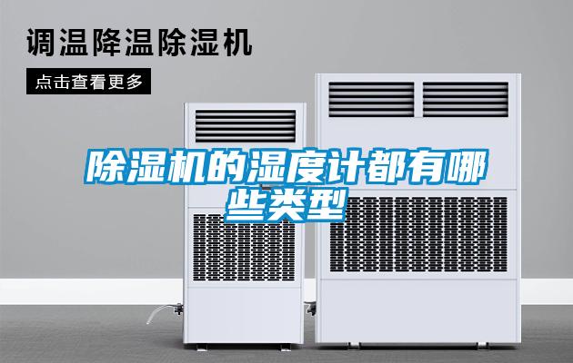 除湿机的湿度计都有哪些类型
