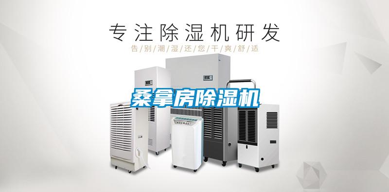 桑拿房除湿机