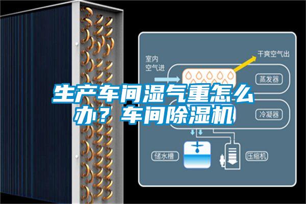 生产车间湿气重怎么办？车间除湿机