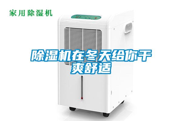 除湿机在冬天给你干爽舒适