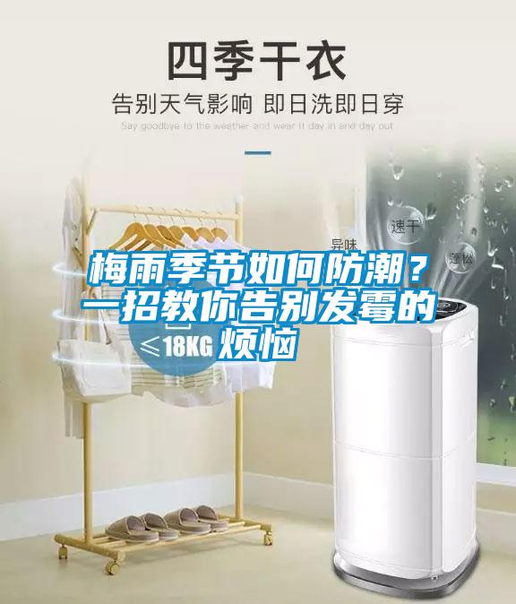 梅雨季节如何防潮？一招教你告别发霉的烦恼