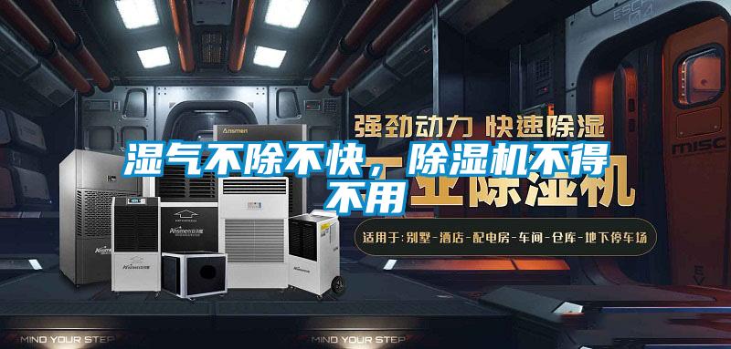 湿气不除不快，除湿机不得不用