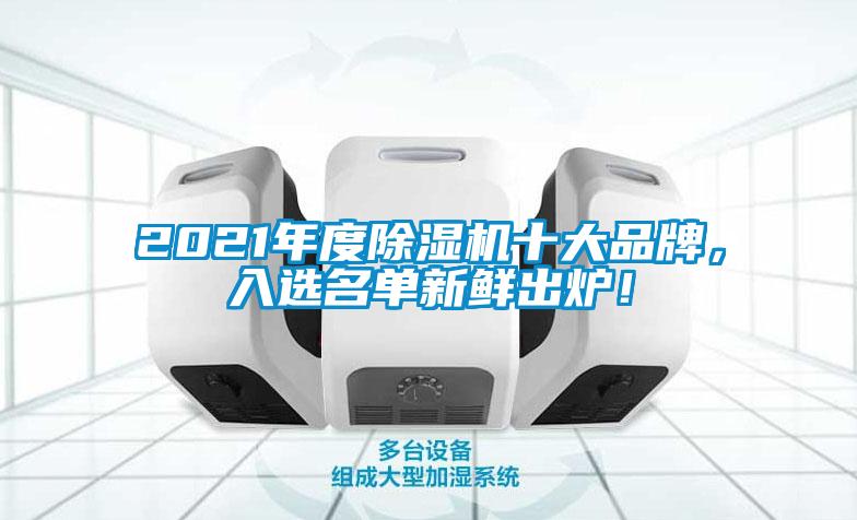 2021年度除湿机十大品牌，入选名单新鲜出炉！
