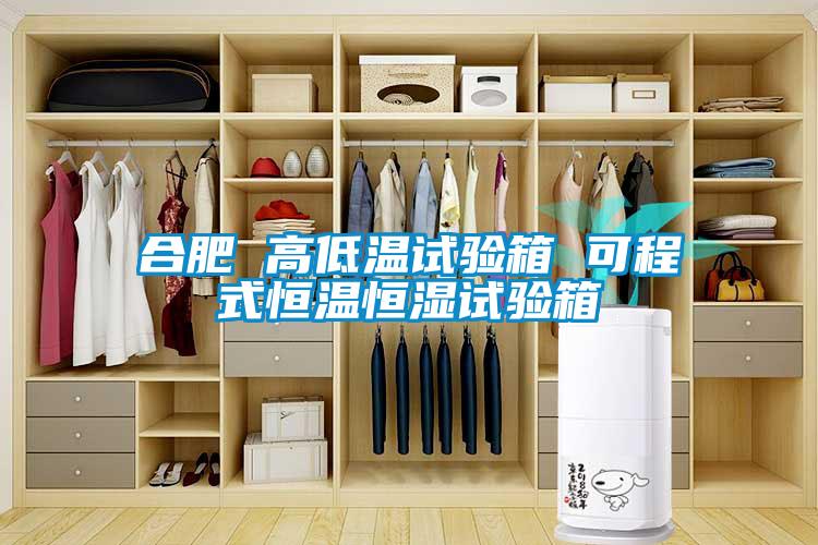 合肥 高低温试验箱 可程式恒温恒湿试验箱