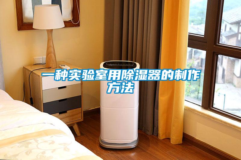 一种实验室用除湿器的制作方法