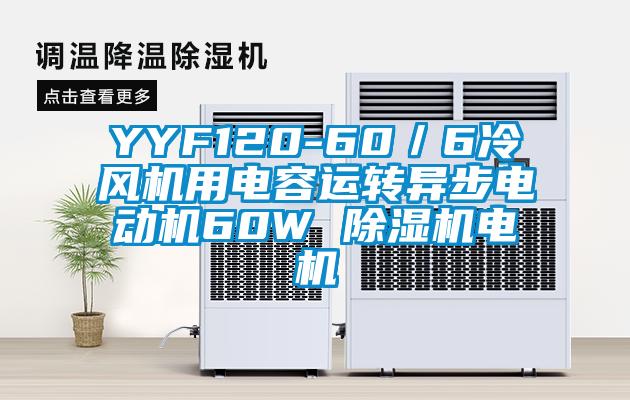 YYF120-60／6冷风机用电容运转异步电动机60W 除湿机电机