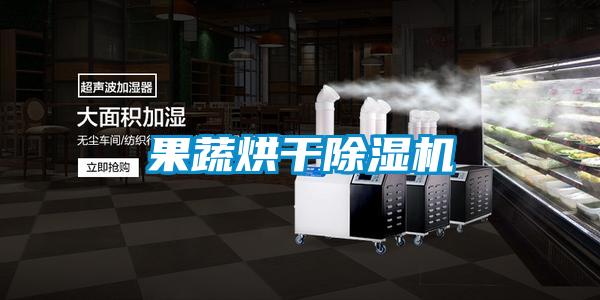 果蔬烘干除湿机
