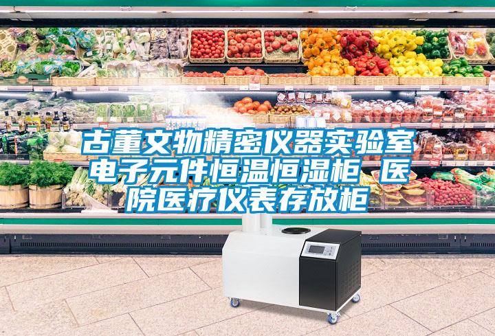 古董文物精密仪器实验室电子元件恒温恒湿柜 医院医疗仪表存放柜
