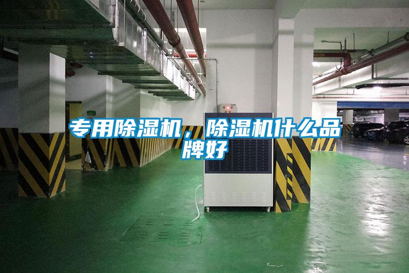 专用除湿机，除湿机什么品牌好