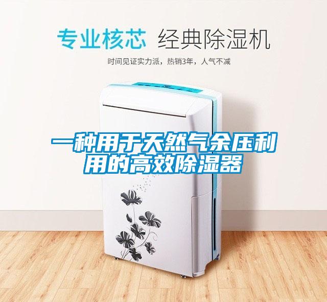 一种用于天然气余压利用的高效除湿器