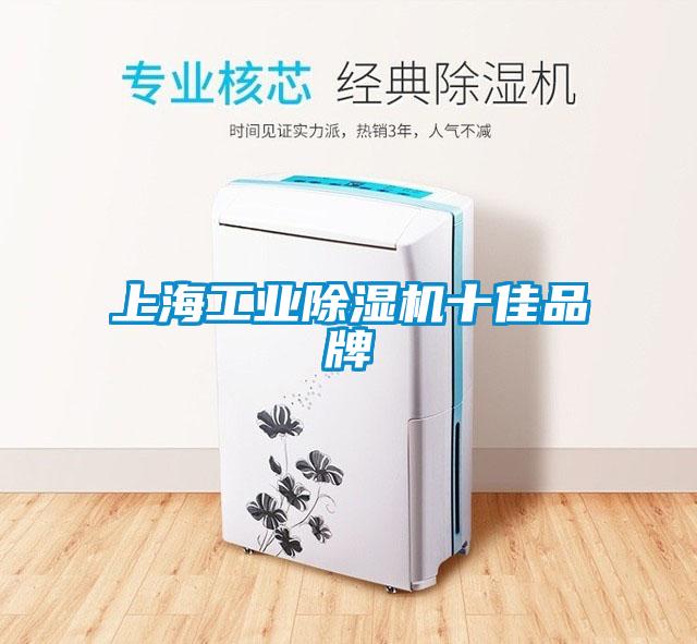 上海工业除湿机十佳品牌