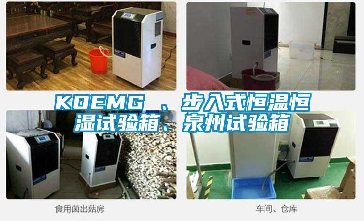 KOEMG 、步入式恒温恒湿试验箱、泉州试验箱