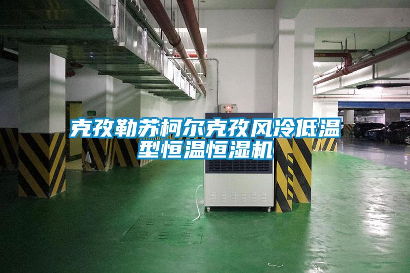 克孜勒苏柯尔克孜风冷低温型恒温恒湿机