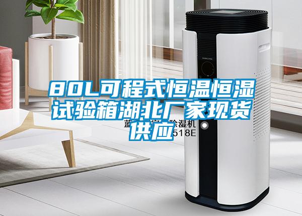 80L可程式恒温恒湿试验箱湖北厂家现货供应