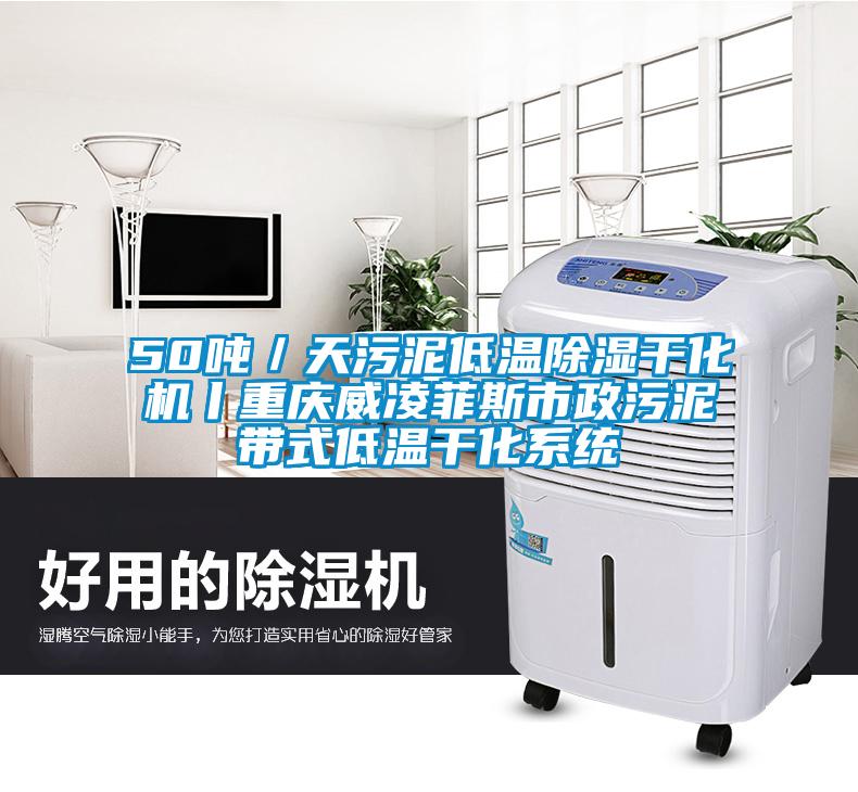 50吨／天污泥低温除湿干化机丨重庆威凌菲斯市政污泥带式低温干化系统