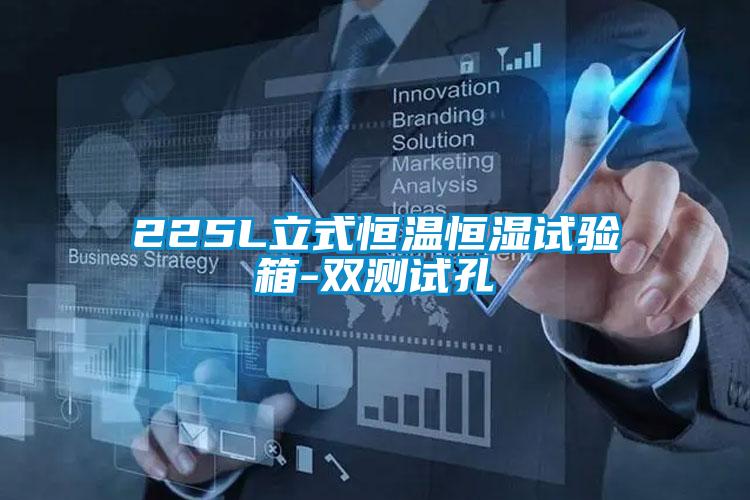 225L立式恒温恒湿试验箱-双测试孔