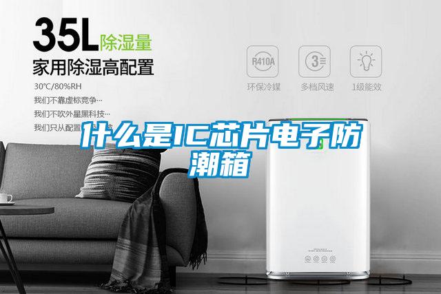 什么是IC芯片电子防潮箱