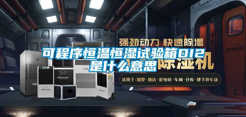 可程序恒温恒湿试验箱DI2是什么意思