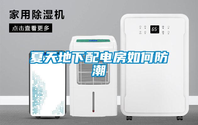 夏天地下配电房如何防潮