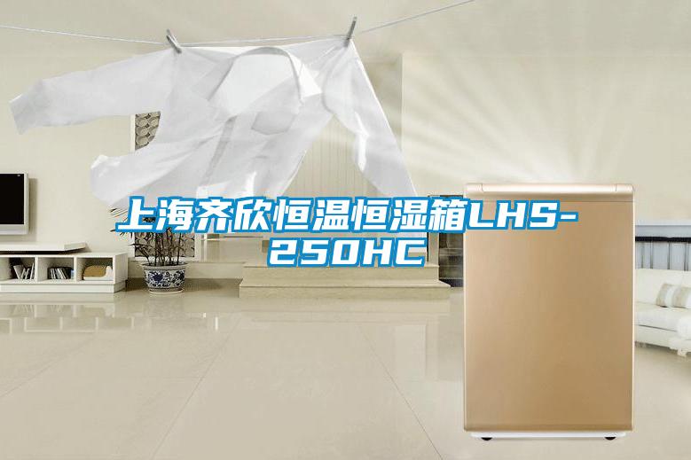 上海齐欣恒温恒湿箱LHS-250HC
