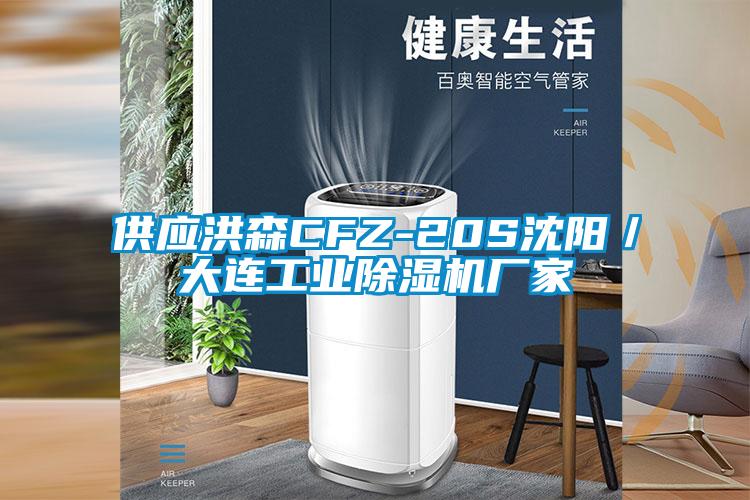 供应洪森CFZ-20S沈阳／大连工业除湿机厂家