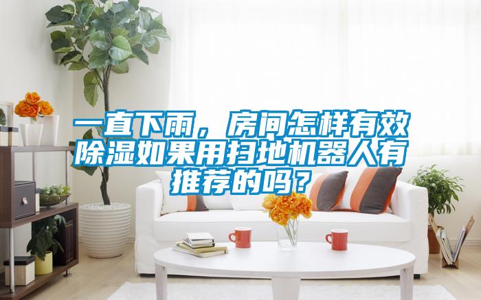一直下雨，房间怎样有效除湿如果用扫地机器人有推荐的吗？