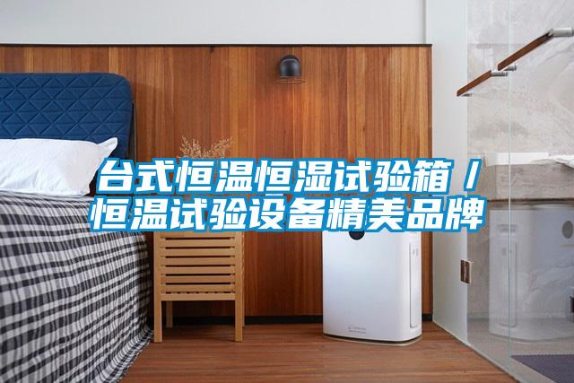 台式恒温恒湿试验箱／恒温试验设备精美品牌