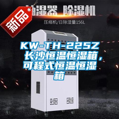KW-TH-225Z 长沙恒温恒湿箱，可程式恒温恒湿箱