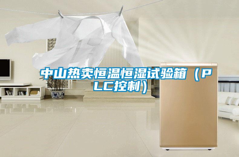 中山热卖恒温恒湿试验箱（PLC控制）