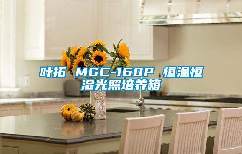 叶拓 MGC-160P 恒温恒湿光照培养箱